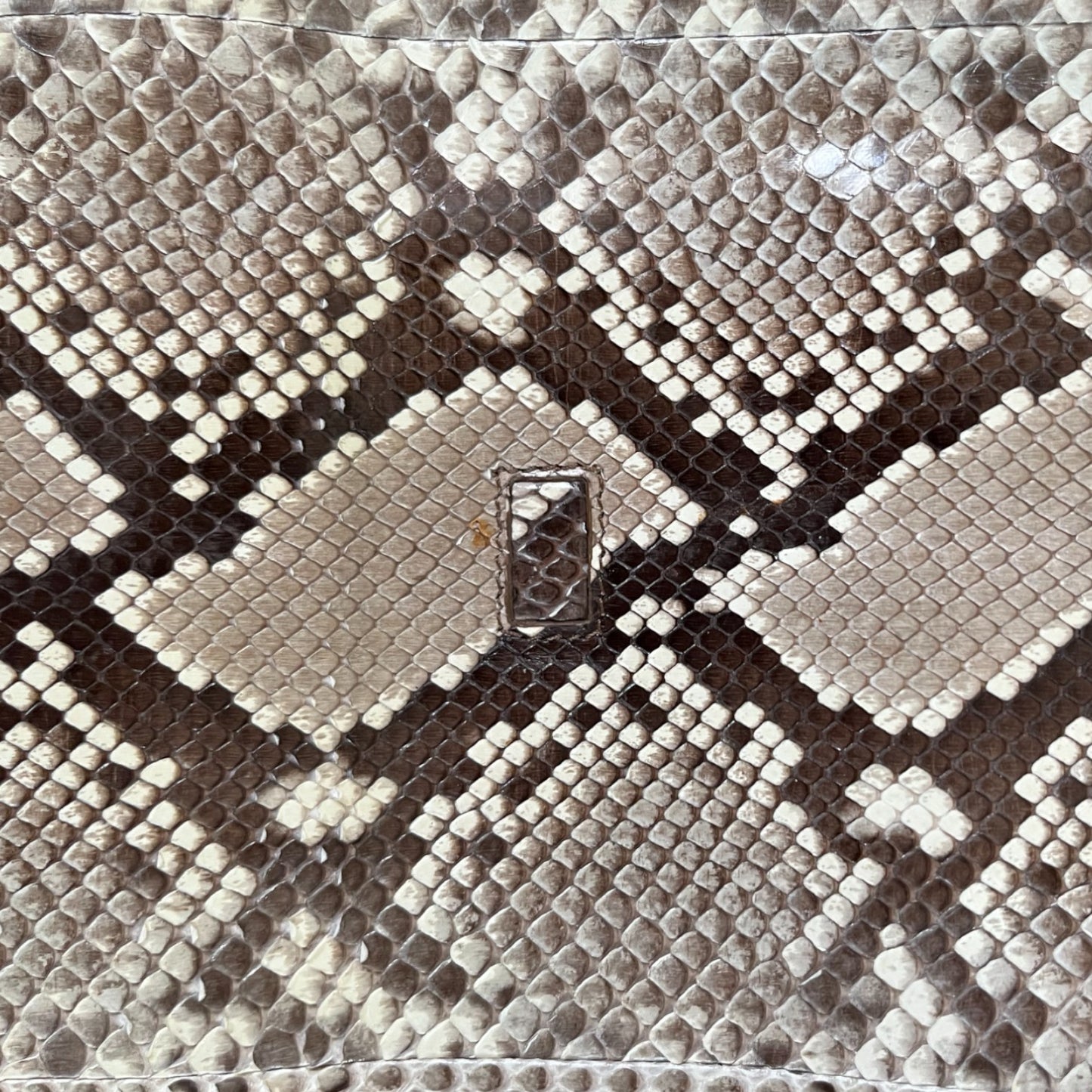 LANVIN - SUGAR PYTHON