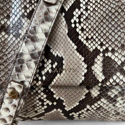 LANVIN - SUGAR PYTHON
